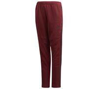 Adidas Tiro 19 Trainingsbroek Junior