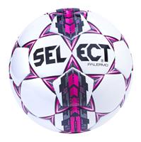 Voetbal Palermo