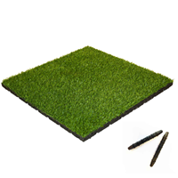 sporttrader Rubber Tegel met Kunstgras Toplaag - met Pen-en-Gat systeem - 50 x 50 x 5,5 cm