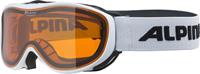 Brillenträgerskibrille Challenge 2.0 Farbe: 114 white, Scheibe: DOUBLEFLEX Hicon S2))