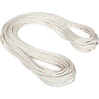 Mammut - 9.9 Gym Workhorse Dry Rope - Enkeltouw, wit/grijs