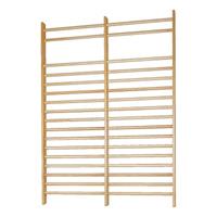 Sport-Thieme Doppelfeld-Sprossenwand nach DIN EN 12346, HxB: 280x200 cm
