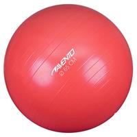 Avento Fitness-/Gymnastikball Durchm. 65 cm  Rosa