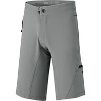 IXS Carve Evo Shorts 2020 - Graphite