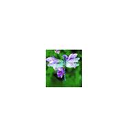 Animal Essences Dragonfly (libelle) 30 ml