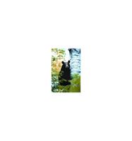 Animal Essences Bear (beer) 30 ml