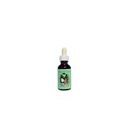 Animal Essences Communion with God 30 ml