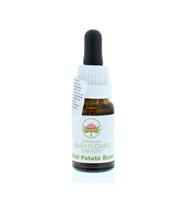 Australian Bush Wild potato bush 15 ml