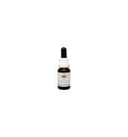 Australian Bush Flannel flower 15 ml