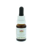 Australian Bush Rough bluebell 15 ml