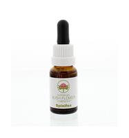 Australian Bush Spinifex 15 ml