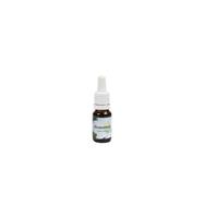 Star Remedies Meesterbloem 10 ml