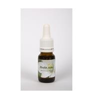 Star Remedies Herfstaster 10 ml