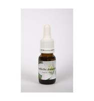 Star Remedies Indische amandel 10 ml