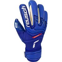 Reusch Attrakt Fusion Guardian