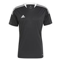 adidas - Tiro 21 Training Jersey - Wit Voetbalshirt