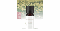 Geurwolkje Tea Tree 100% Etherische Olie 5 en 10ml