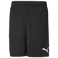 Puma TeamRISE Short Heren