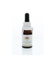 Australian Bush Autumn leaves 15 ml