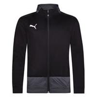 PUMA Trainingsjacke teamGOAL 23 - Schwarz/Asphalt Kinder