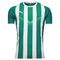 Puma Voetbalshirt LIGA Striped - Groen/Wit Kinderen