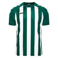Hummel Voetbalshirt Core Striped - Groen/Wit
