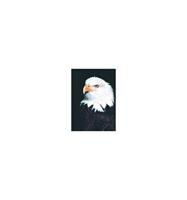 Animal Essences Eagle (adelaar)
