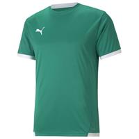 puma teamLIGA Jersey