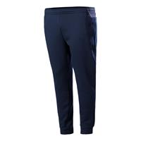 Lacoste Trainingshose Herren