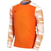 Nike Keepersshirt Park IV Dry - Oranje/Wit/Zwart Kinderen