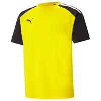 puma teamPACER Jersey