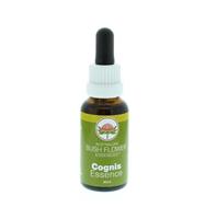 Australian Bush Cognis essence