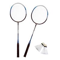 Badmintonset zilver/Blauw