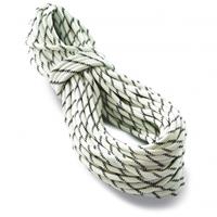Tendon  Pro Work 10.5 - Statisch touw, grijs