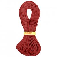 Tendon - Master 7,8 mm Shield - Halbseil