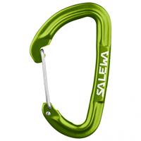 Salewa Hot G3 Wire Carabiner - Niet-beveiligde karabiner, groen/olijfgroen