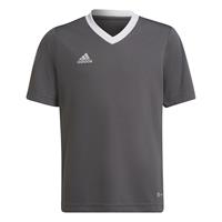 Adidas Trainingsshirt Entrada 22 - Grijs/Wit Kinderen