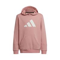 Capuchon sweaters adidas HE1923