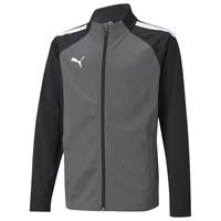 PUMA teamLIGA Trainingsjacke Kinder smoked pearl/puma white