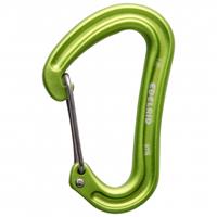 Edelrid Nineteen G II - Niet-beveiligde karabiner groen/olijfgroen