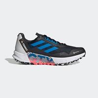 Trailschoenen adidas Terrex Agravic Flow 2.0