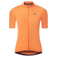 dhb Radtrikot Frauen (kurzarm) - Trikots