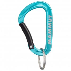 Mammut Mini Carabiner Classic - Materiaalkarabiner, turkoois/grijs