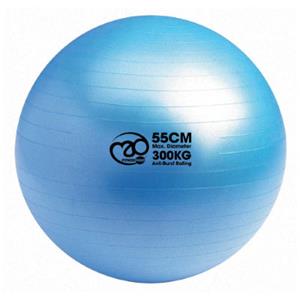 Fitness-Mad 300kg Swiss Ball (55cm) - Blau}