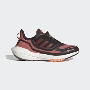 Adidas Ultra Boost 22 GTX Trailschuh