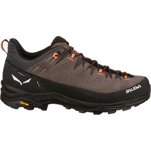 Salewa Heren Alp Trainer 2 Schoenen