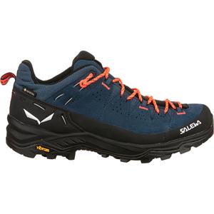 Salewa Dames Alp Trainer 2 GTX Schoenen