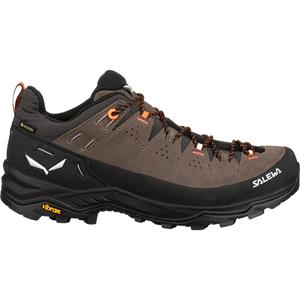 Salewa Heren Alp Trainer 2 GTX Schoenen