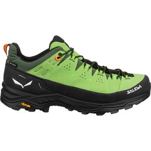 Salewa Heren Alp Trainer 2 GTX Schoenen