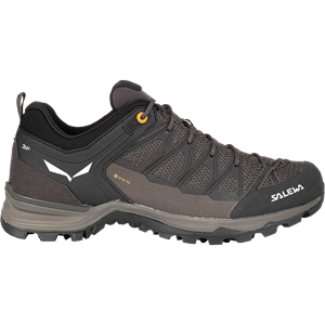 Salewa Heren MTN Trainer Lite GTX schoenen